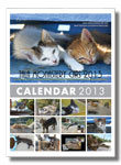 Cat calendar